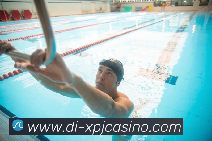 新葡京娱乐服务体系